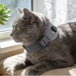 当科技为守护而生，陪伴有了新的模样